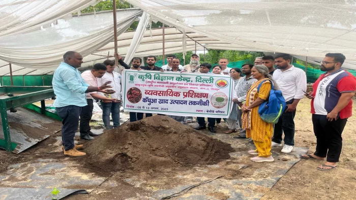 केंचुआ खाद है बड़े काम की चीज, मृदा के साथ इंसानों की सेहत के लिए उपयोगी