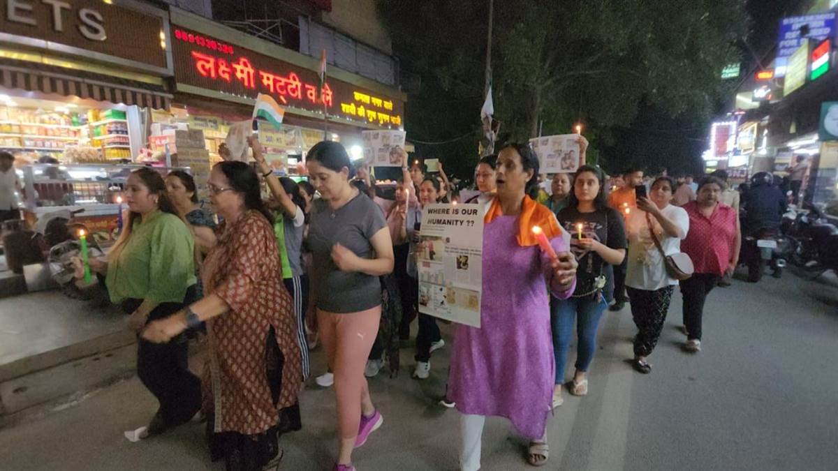 ncr new delhi city animal lovers protest dog shelter order