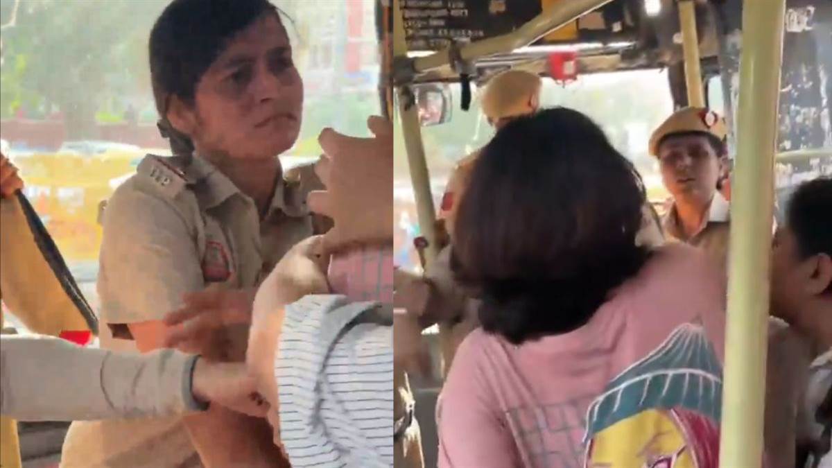 ncr stray dogs sc ruling sparks protests in delhi animal lover clash