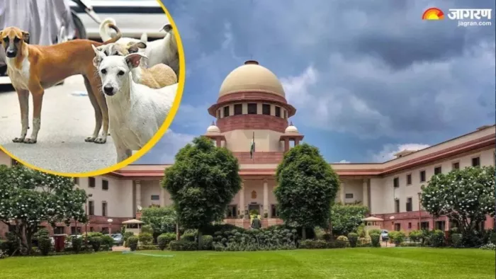 सारी समस्या अधिकारियों की निष्क्रियता के कारण : सुप्रीम कोर्ट
