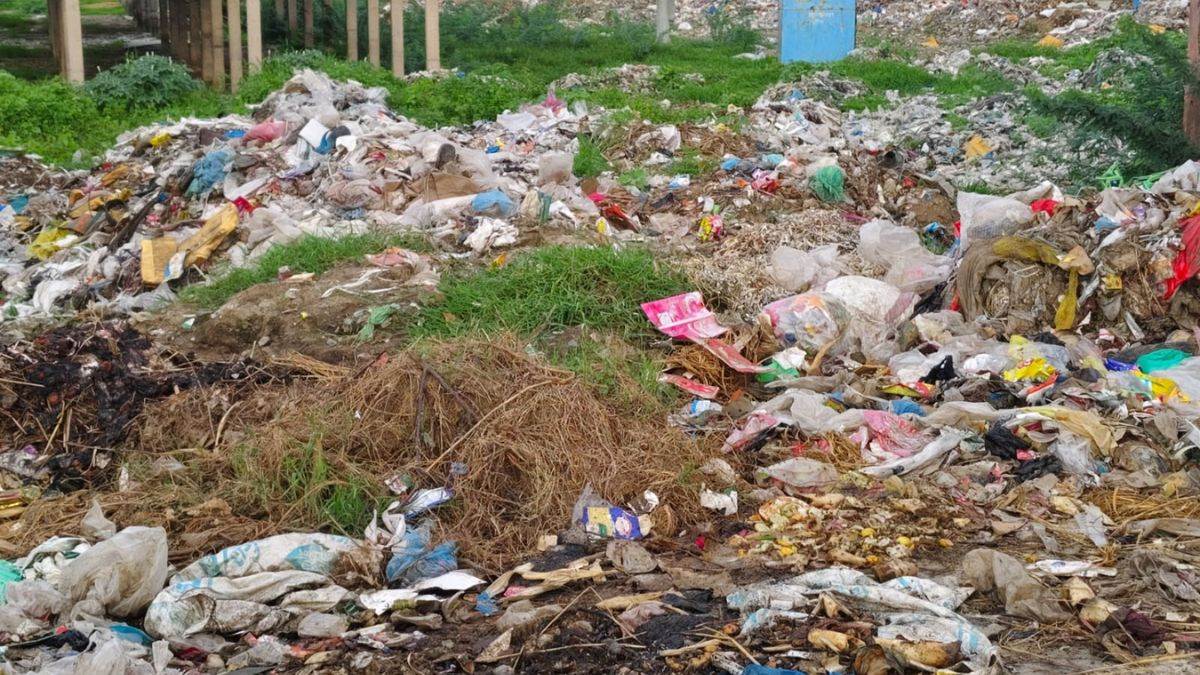https://www.jagranimages.com/images/newimg/14082025/14_08_2025-mewat_garbage_24013481.jpg