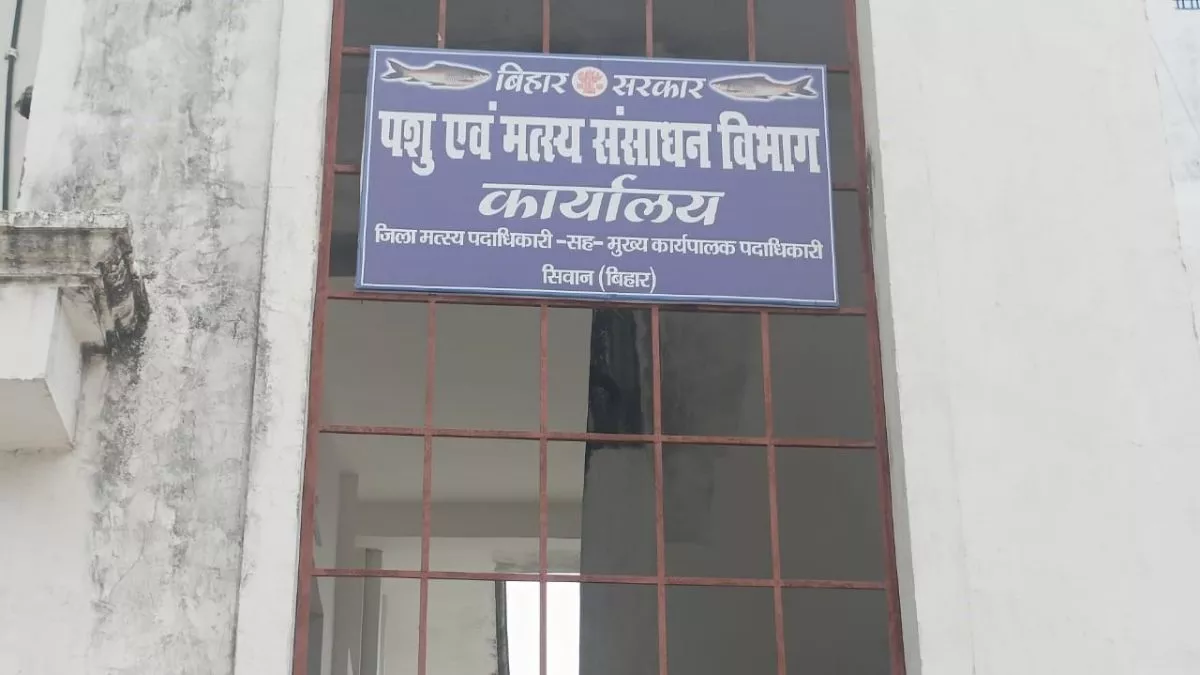 Siwan News: मछली विक्रेताओं को 50% सब्सिडी पर मिलेगा आइस बॉक्स लगा तिपहिया वाहन, ये लोग उठाएं योजना का लाभ