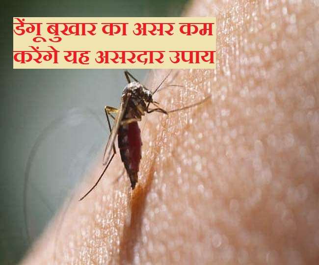 https://www.jagranimages.com/images/newimg/14092021/14_09_2021-dengue_fiver_22019576.jpg