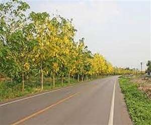 बदहाल पार्कों को बेहतर बनाने के लिए रैलियां भी निकाली जाएगी