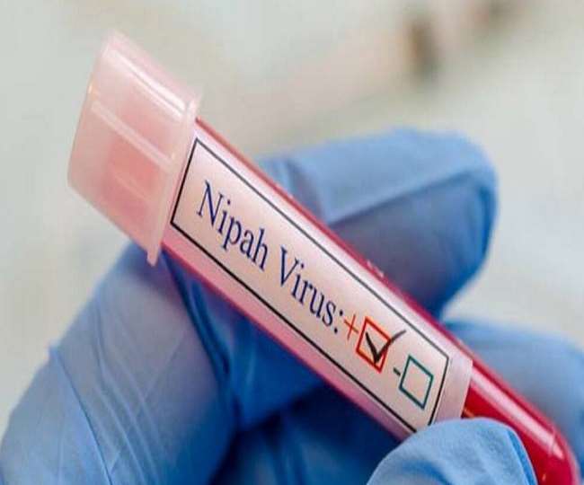 केरल में निपाह का खतरा बरकरार, इलाज करा रहे मरीज में दिखे लक्षण; जांच के लिए भेजा गया सैंपल