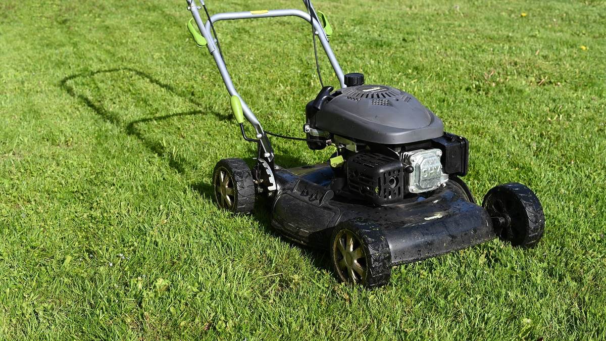 Electric Lawn Mower: बगीचे में बड़ी हुई घास को इलेक्ट्रिक लॉन मूवर से काटना आसान कुछ घंटो में बगीचा होगा साफ