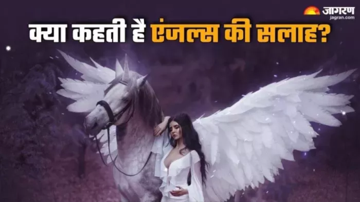 Tarot card reading 14 September 2024 जानिए क्या कहते हैं एंजल के नियम