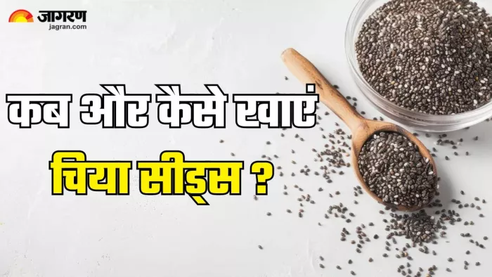 कब और कैसे खाएं चिया सीड्स? (Picture Credit- Freepik)