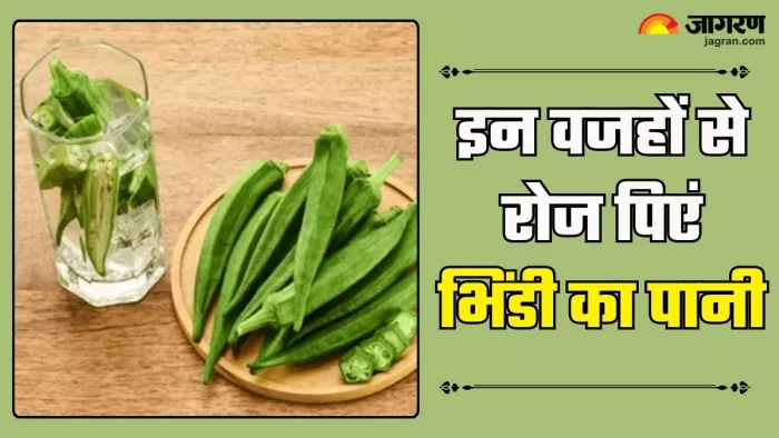खाली पेट भिंडी का पानी पीने के फायदे (Picture Credit- Freepik)