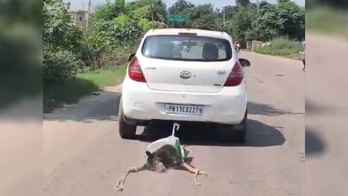 https://www.jagranimages.com/images/newimg/14092025/14_09_2025-car_11_24047227.jpg