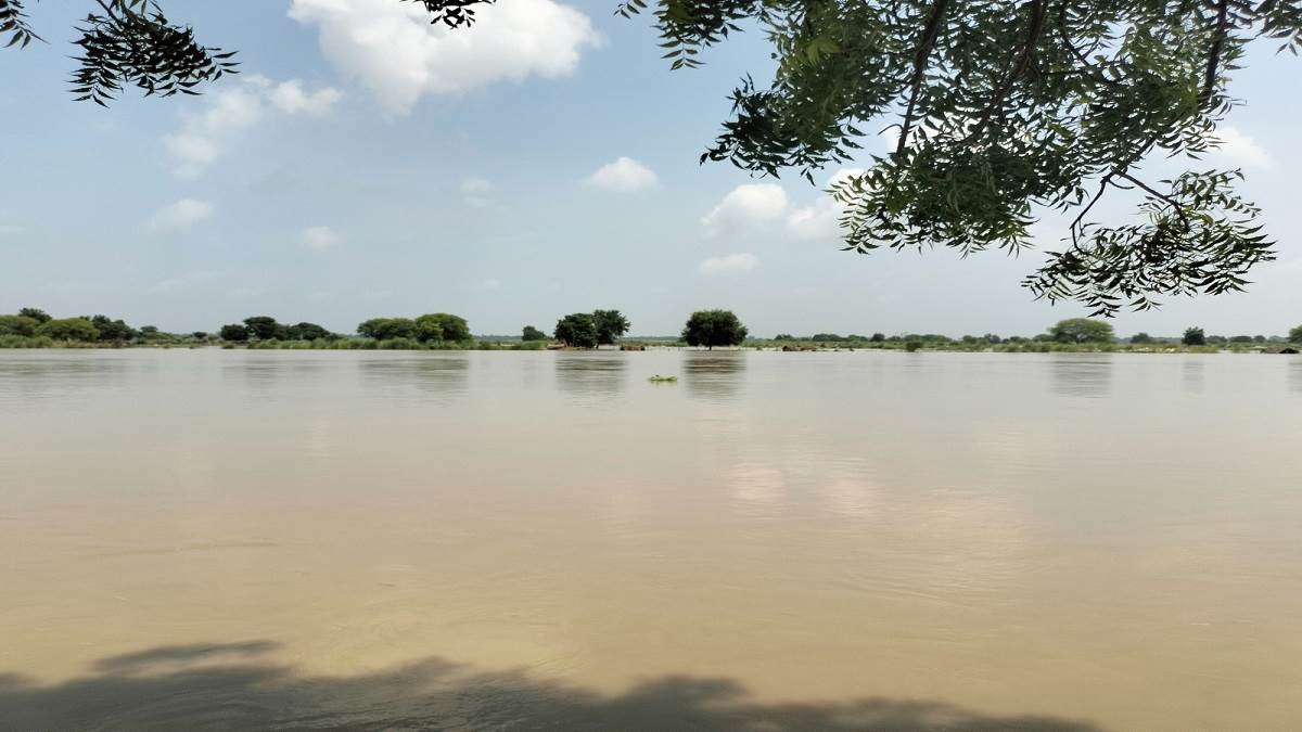 https://www.jagranimages.com/images/newimg/14092025/14_09_2025-prayagraj_flood_24046671.jpg