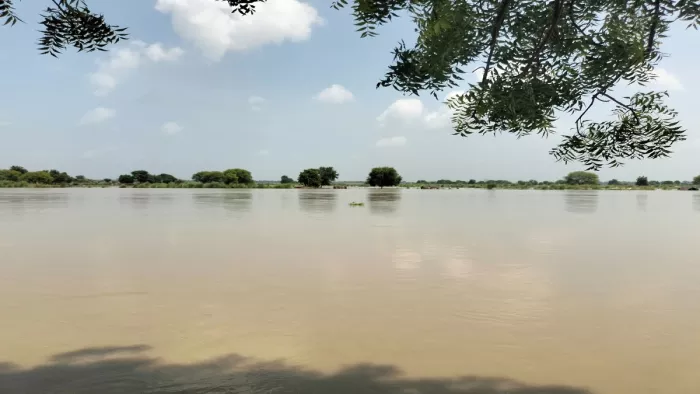 प्रयागराज में गंगा-यमुना नदियों में आई बाढ़ से फसल की भी काफी क्षति हुई है, पीड़ितों को मुआवजा मिलेगा।