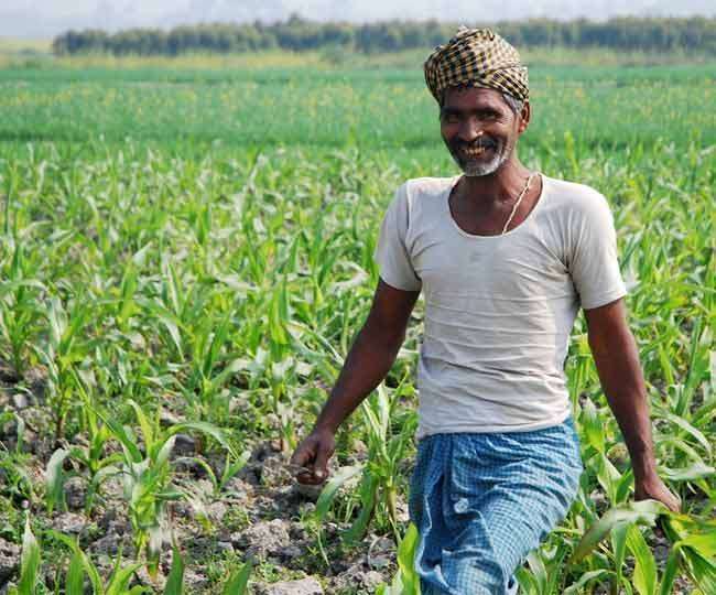 किसानों के लिए मोदी सरकार का बड़ा ऐलान।(फोटो: प्रतीकात्मक)