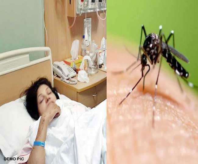 Delhi Dengue News: दिल्ली में कोरोना वायरस से कुछ राहत मिली तो डेंगू बढ़ा डेंगू का खतरा