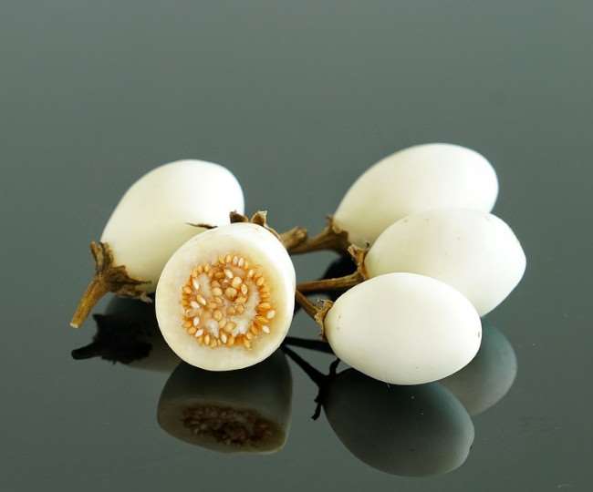 https://www.jagranimages.com/images/newimg/14102021/14_10_2021-white_brinjal_22112059.jpg