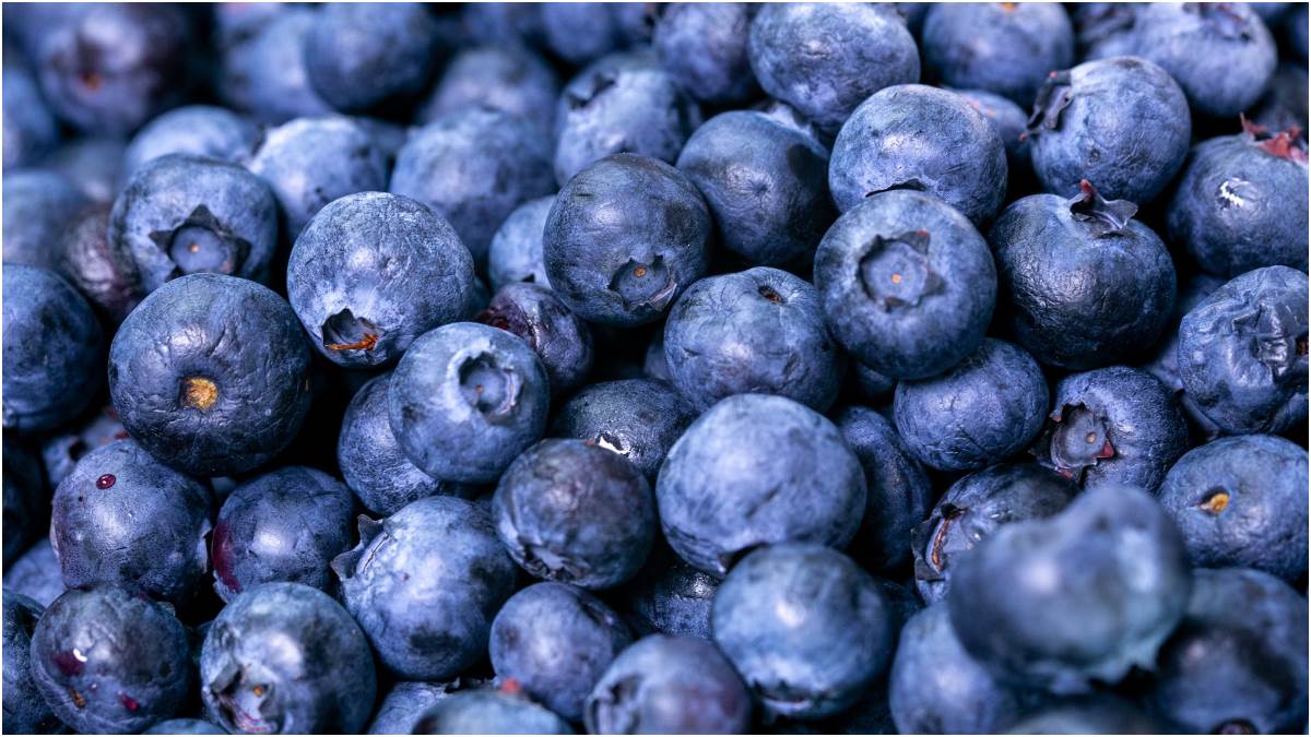 know how eating blueberries benefits our health