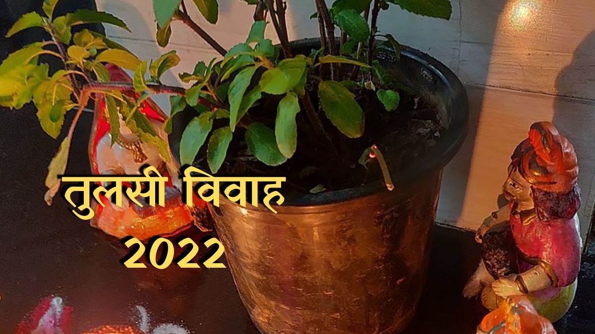 Tulsi Vivah 2022 Date and Time तुलसी विवाह पर्व आज ...