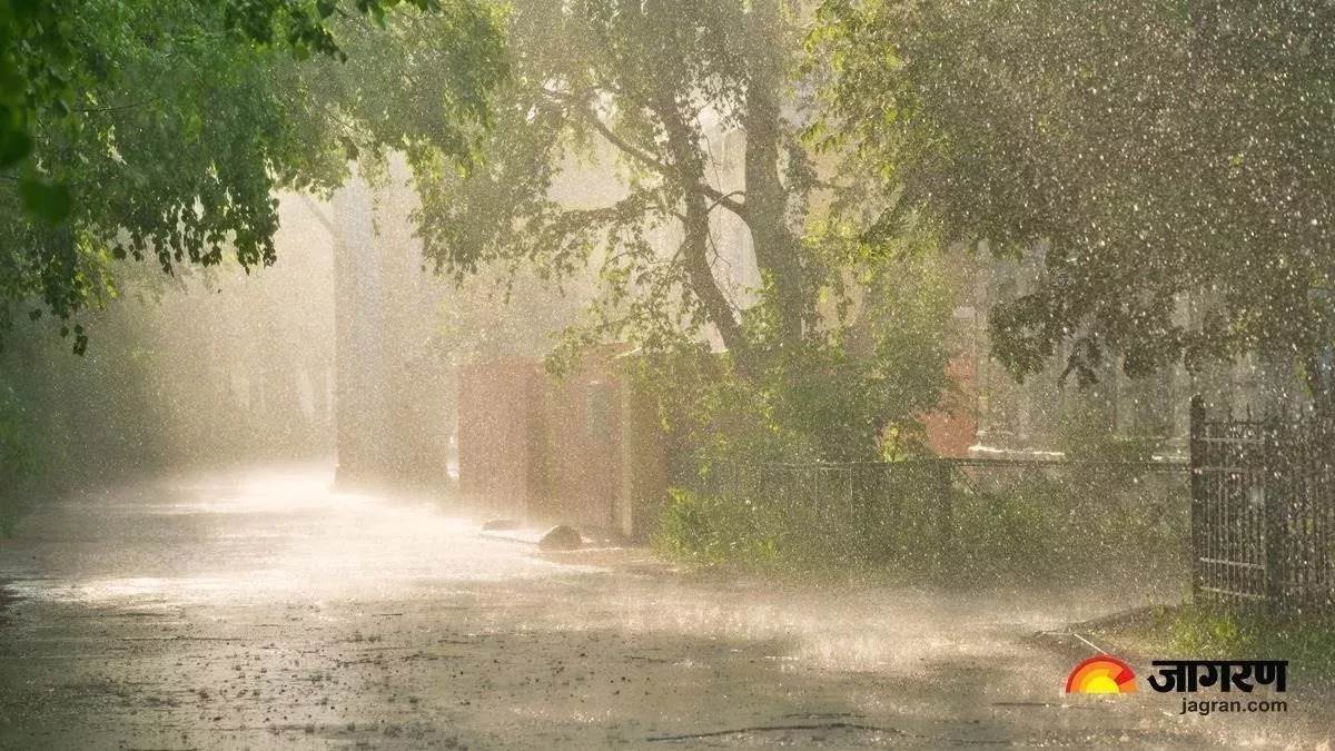 https://www.jagranimages.com/images/newimg/14102023/14_10_2023-haryana_weather_today_23555698_8433207.jpg