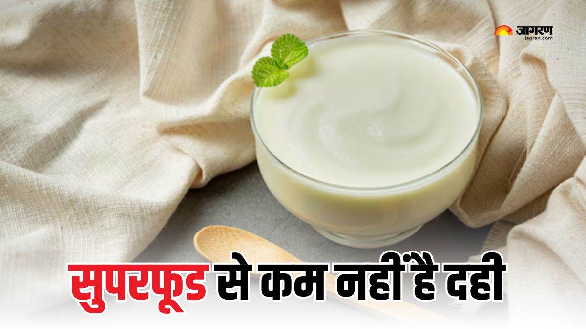curd benefitstop 6 surprising health benefits of eating a bowl of yogurt daily check details