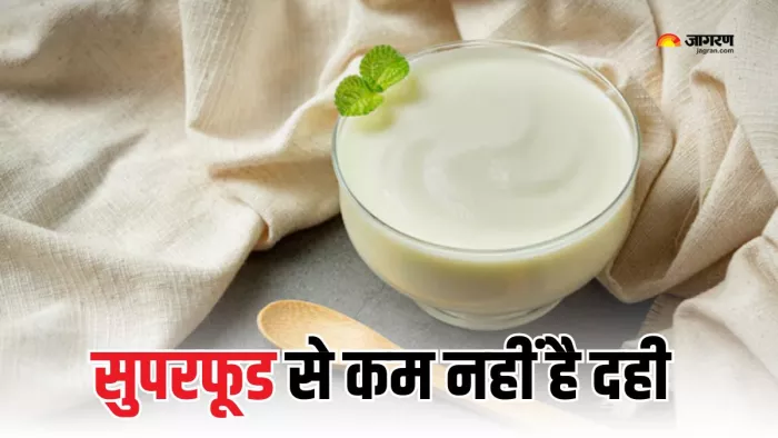 क्यों रोज खाना चाहिए दही? (Picture Courtesy: Freepik)