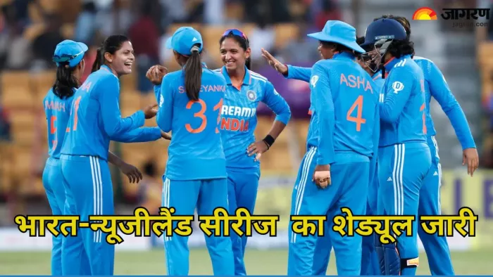 भारत और न्यूजीलैंड के बीच खेले जाएंगे 3 वनडे मैच। इमेज- बीसीसीआई