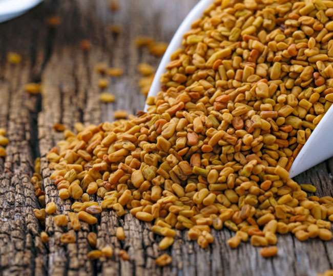 Fenugreek Seeds Benefits: लंबे बालों से लेकर साफ त्वचा तक, जानें मेथी दाने के 5 फायदे - From Long Hair To Clearer Skin Know 5 Benefits Of Fenugreek Seeds Fenugreek Seeds Benefits: लंबे बालों से लेकर साफ त्वचा तक, जानें मेथी दाने के 5 फायदे - From Long Hair To Clearer Skin Know 5 Benefits Of Fenugreek Seeds