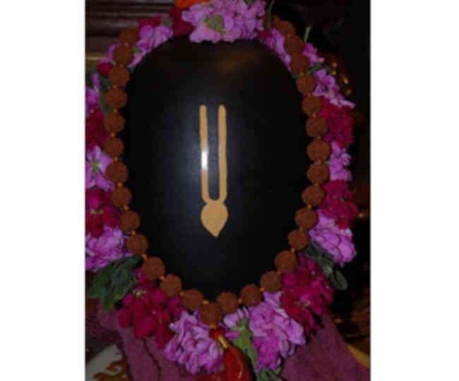 https://www.jagranimages.com/images/newimg/14112021/14_11_2021-shaligram27_22205774.jpg