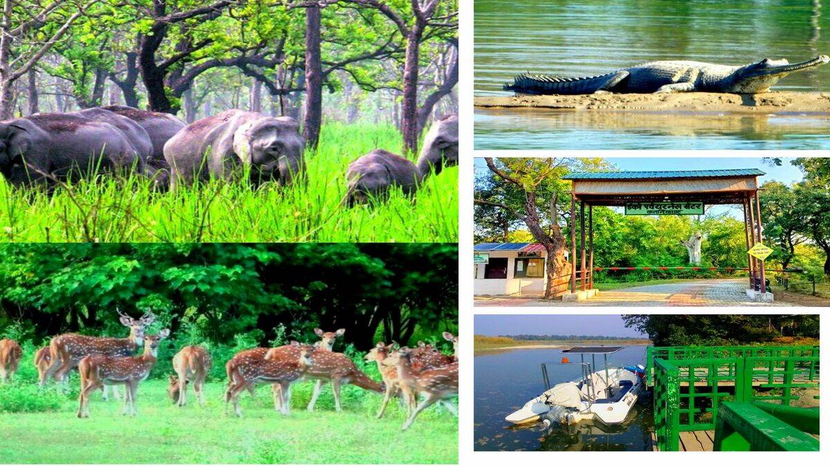 https://www.jagranimages.com/images/newimg/14112022/14_11_2022-bahraich_katarniyaghat_23204274_22378138.jpg
