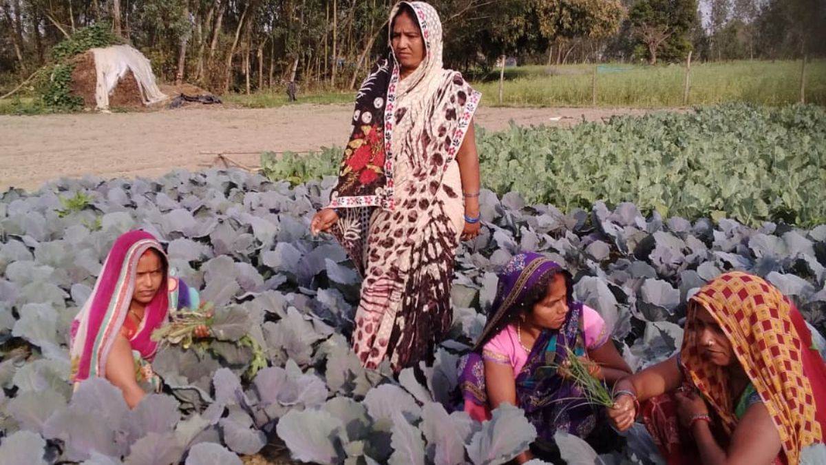 https://www.jagranimages.com/images/newimg/14112022/14_11_2022-self_help_group_barabanki_23203299.jpg