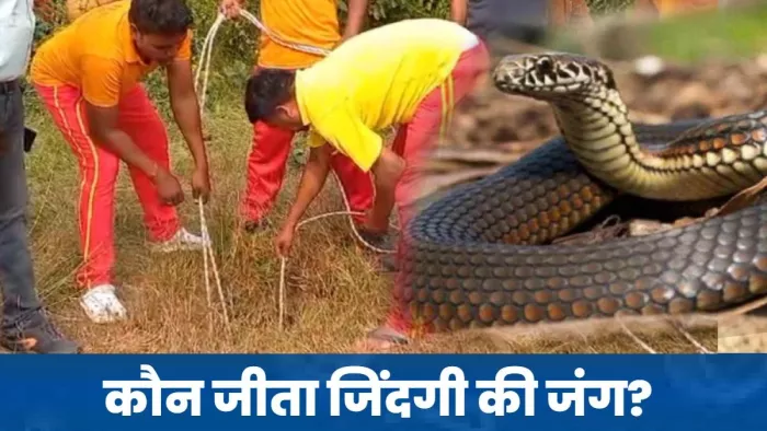 बोरवेल में गिरी 80 साल की महिला ने सांप के साथ बिताए 12 घंटे,