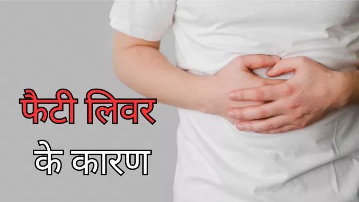 फैटी लिवर का कारण बनती हैं ये चीजें