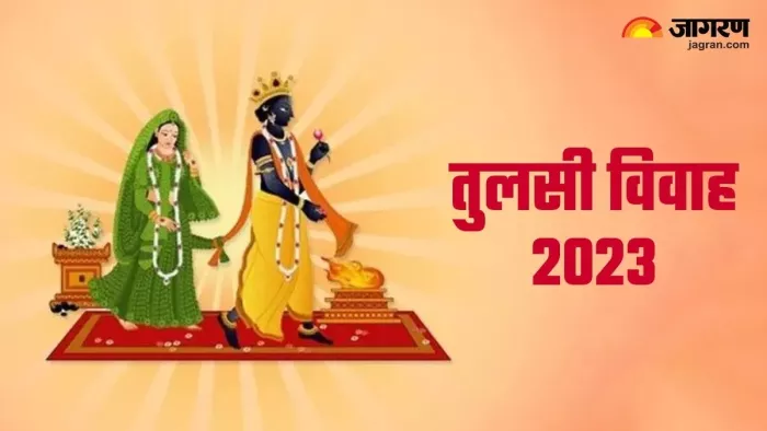 Tulsi Vivah 2023: तुलसी विवाह के दिन जरूर करें ये विशेष उपाय
