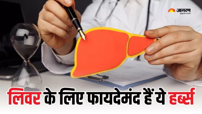 फैटी लिवर से राहत दिलाने में असरदार हैं ये हर्ब्स (Picture Courtesy: Freepik)