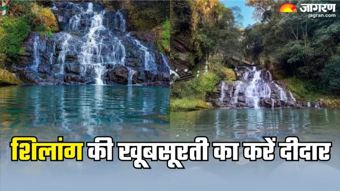 इस विंटर शिलांग में करें इन जगहों की सैर (Picture Credit- Freepik)