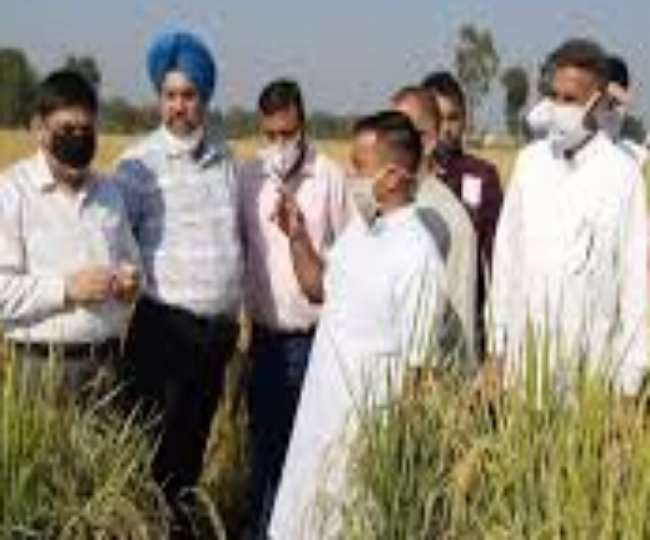कृषि विभाग जम्मू के मुख्य कृषि अधिकारी अरविंद्र सिंह रीन किसानों को नई तकनीक बारे जानकारी देते हुए।