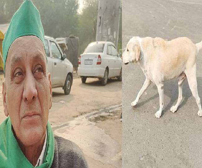 किसान आंदोलन से चर्चा में आए 'भूरा टाइगर' को मिला वफादारी का इनाम