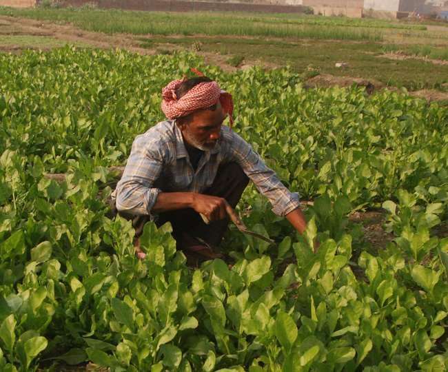 हालांकि, अब घोषणा-पत्र भरने की तारीख को बढ़ाया जाना संभव नहीं होगा।