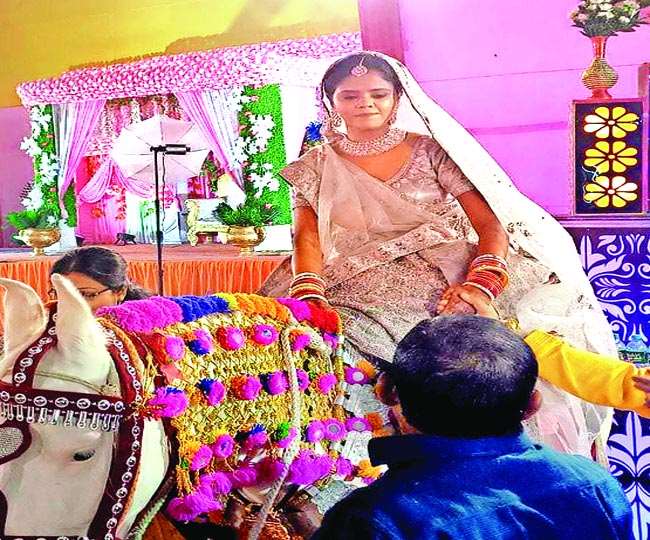 Unique Wedding News: Air hostess brides came out on horse to bring the groom, Baratis were amazed