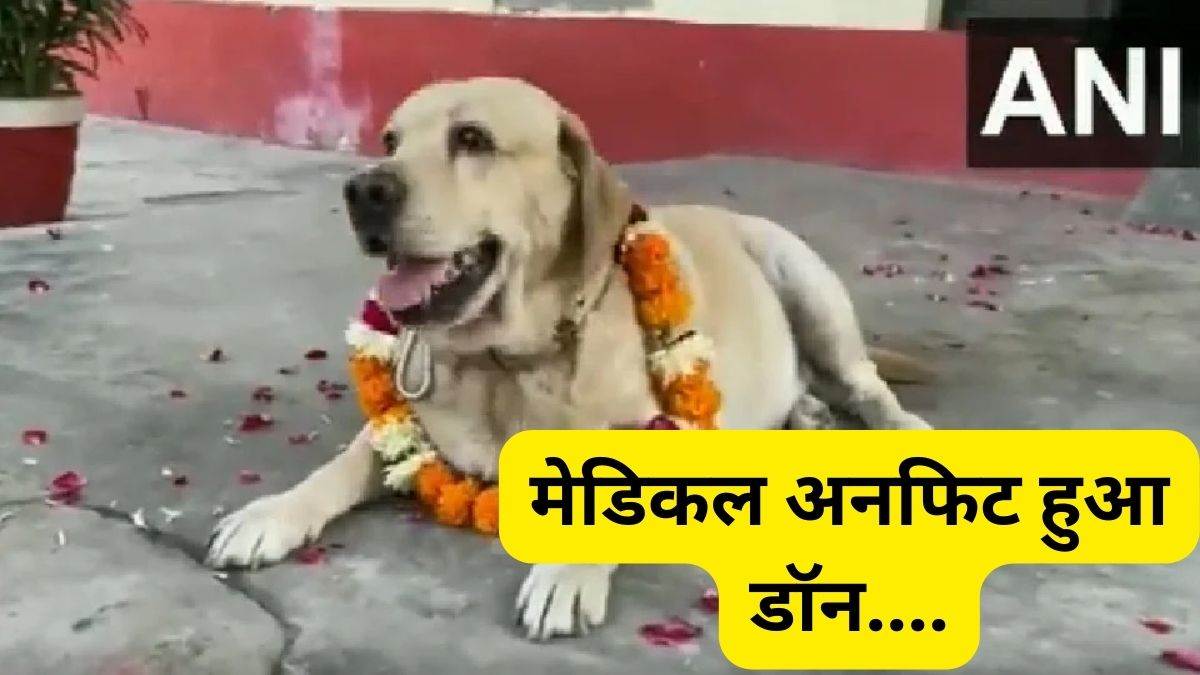 10,500 में हुई ''डॉन'' की नीलामी, 7 साल में 18 से अधिक अपराधियों को पहुंचाया सलाखों के पीछे