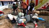 Uttarakhand News : शक्तिमान घोड़े की मौत के आरोपितों को सजा दिलाए जाने को लेकर दायर याचिका पर सुनवाई की।