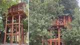 Tree House : यहां ठहरना पर्यटकों के लिए किसी रोमांच से कम नहीं होगा।