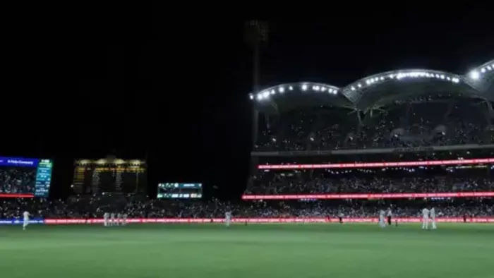 Adelaide Test floodlights controversy पर नाथन लियोन का बड़ा खुलासा। फाइल फोटो