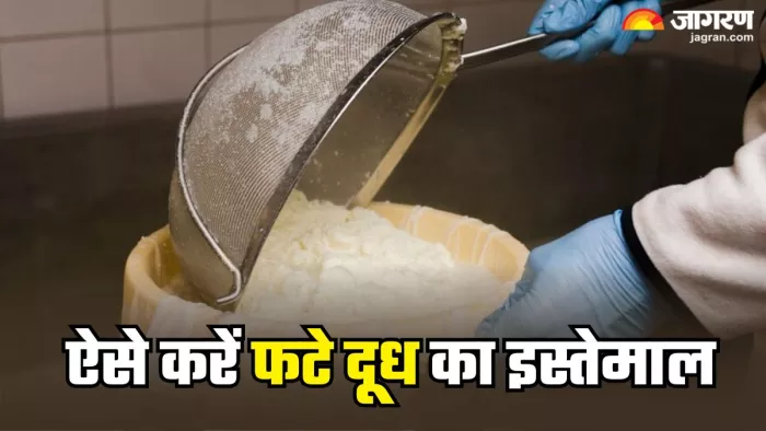 इस तरह करें फटे हुए दूध का इस्तेमाल (Picture Credit- Freepik)