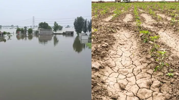 IIT मंडी की रिपोर्ट चिंताजनक, सरकार को पहले तैयारी में मिलेगी मदद।