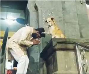 इस वीडियो को भारतीय वन सेवा के अधिकारी ने शेयर किया है