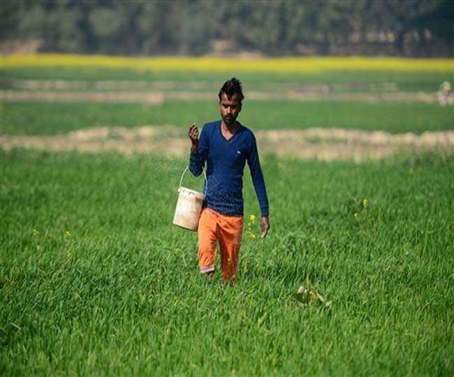 Bihar Farmer's News: बिहार में किसानों को मिलेगा क्रेडिट कार्ड। प्रतीकात्‍मक तस्‍वीर