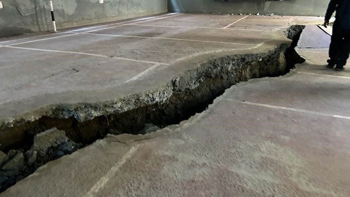 News Article Hero Image