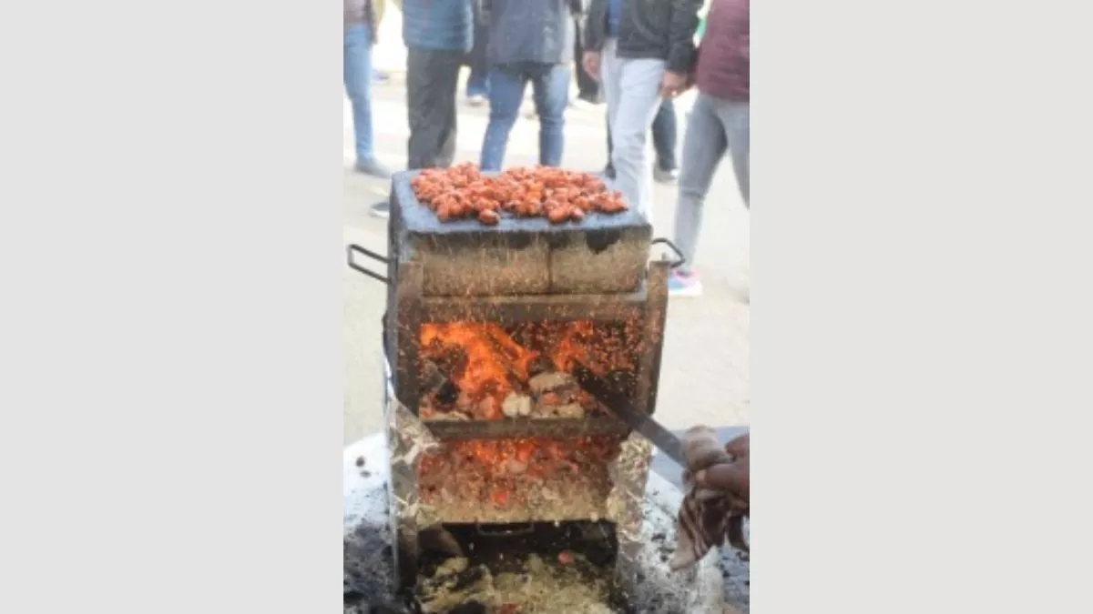 National Street Food Festival in Delhi: पत्थर मटन गोश्त और करतब दिखाते युवक ने लूटी वाहवाही