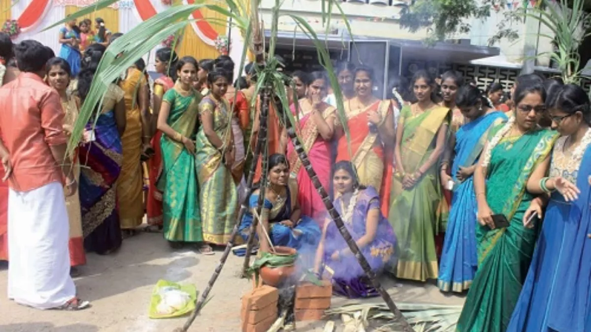 तमिलनाडु में हर तरफ दिख रही पोंगल की धूम।