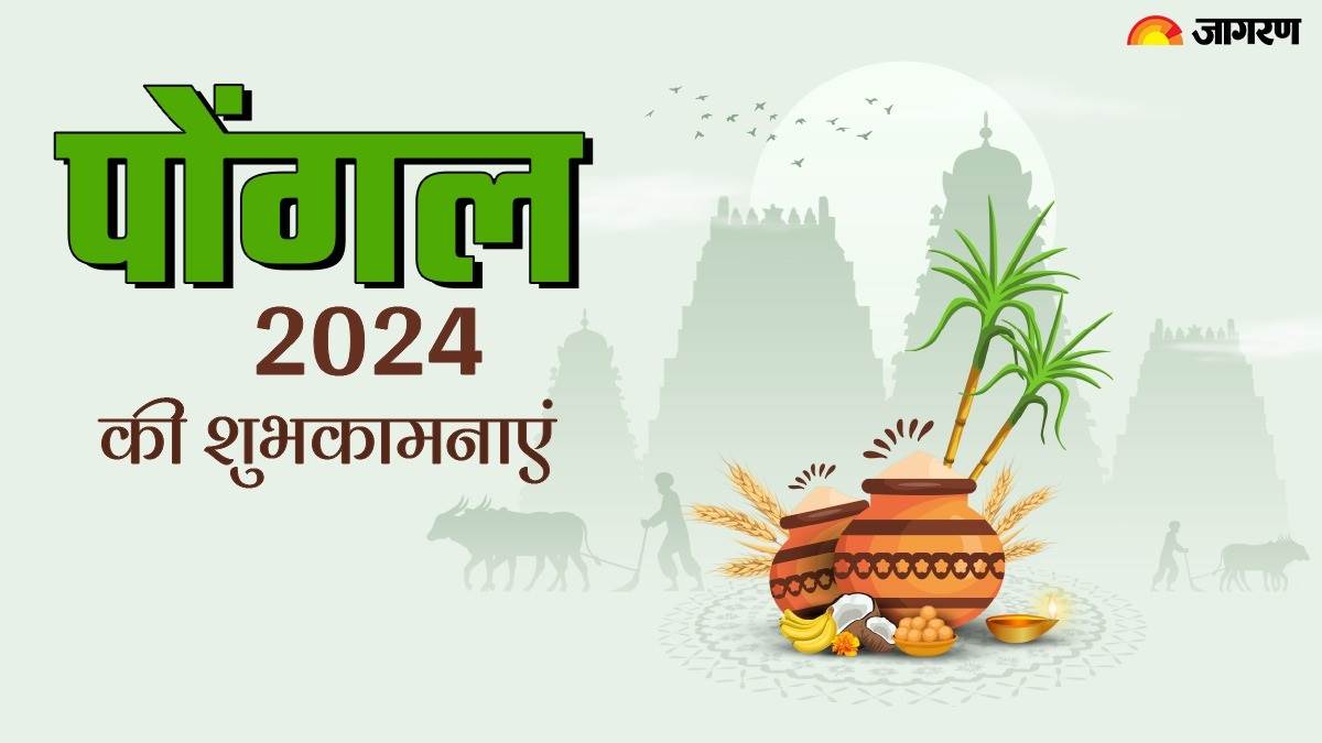 happy pongal 2024 make this pongal even more special send these beautiful messages to your loved ones